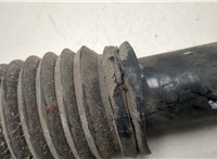 52610TVAA020 Амортизатор подвески Honda Accord 10 2017-2023 20476521 #2