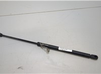 88974301 Амортизатор стекла багажника Pontiac Vibe 1 2002-2008 20476565 #1