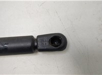 88974301 Амортизатор стекла багажника Pontiac Vibe 1 2002-2008 20476565 #2