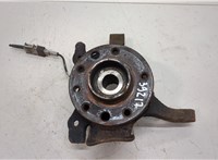 330396, 24421102, 5308034, 13156041 Ступица (кулак, цапфа) Opel Astra H 2004-2010 20477287 #1