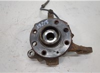 326001, 90576767, 308038, 9156140 Ступица (кулак, цапфа) Opel Corsa C 2000-2006 20477293 #1
