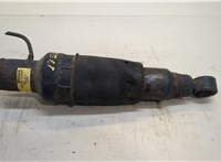 E62101LA8A Амортизатор подвески Infiniti QX56 2010-2013 20477324 #1