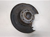1604316, 24463066, 546063 Ступица (кулак, цапфа) Opel Zafira B 2005-2012 20477478 #1