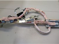 WYL1N001504 Подушка безопасности боковая (шторка) Subaru Legacy (B14) 2009-2014 20477568 #1