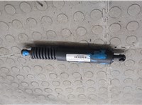 95551255004, 95551255005 Амортизатор крышки багажника Porsche Cayenne 2002-2010 20478298 #3