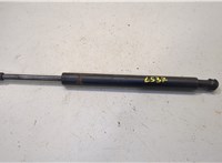 7L6845587A Амортизатор стекла багажника Volkswagen Touareg 2007-2010 20478808 #1