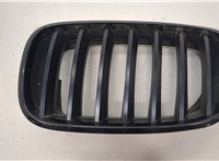 7171395 Решетка радиатора BMW X6 E71 2007-2014 20478940 #1