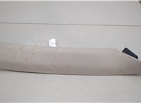 LB5BS03512AJ, 01210056305 Обшивка стойки Ford Explorer 2019-2025 20478997 #1