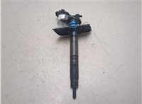 059130277BD Форсунка топливная Audi A6 (C6) 2004-2011 20479098 #7