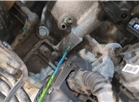  Муфта вентилятора (вискомуфта) Toyota Tundra 2007-2013 11436215 #8