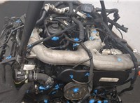 7L6820808 Компрессор кондиционера Audi Q7 2005-2015 11436535 #9