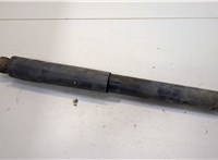 20813756 Амортизатор подвески Chevrolet Tahoe 2006-2014 20481231 #1