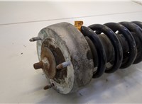  Амортизатор подвески BMW X6 E71 2007-2014 20481422 #2