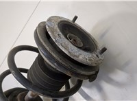  Амортизатор подвески BMW 5 E39 1995-2003 20481479 #2