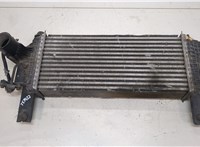  Радиатор интеркулера Nissan Navara 2005-2015 20482095 #1
