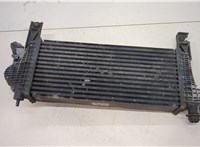  Радиатор интеркулера Nissan Navara 2005-2015 20482288 #6