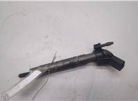  Форсунка топливная Mercedes S W221 2005-2013 20482987 #1