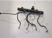  Рампа (рейка) топливная Ford S-Max 2006-2010 20483691 #3