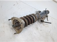  Амортизатор подвески Ford Focus 2 2008-2011 20483731 #2