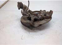 MR992374, MR992378, MN102282 Ступица (кулак, цапфа) Mitsubishi L200 2006-2015 20484037 #2