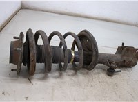  Амортизатор подвески KIA Sportage 2004-2010 20484584 #2
