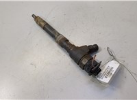 A6070700687 Форсунка топливная Mercedes Citan 2012-2021 20484784 #1