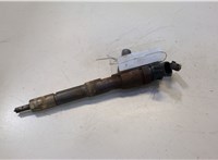 A6070700687 Форсунка топливная Mercedes Citan 20484787 #1
