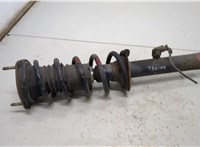 4851059325, 4813153010 Амортизатор подвески Lexus IS 1999-2005 20484940 #1