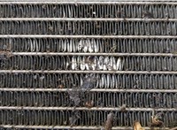 17117519209, 7519209 Радиатор охлаждения двигателя BMW 5 E60 2003-2010 20485003 #5