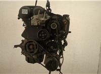  Двигатель (ДВС) Ford Focus 2 2005-2008 20485008 #1