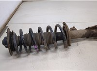 95948811, 96626389 Амортизатор подвески Chevrolet Captiva 2006-2011 20485093 #1