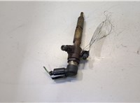  Форсунка топливная Ford Focus 2 2008-2011 20485218 #1