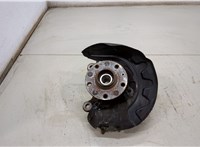  Ступица (кулак, цапфа) Audi A3 (8V) 2012-2020 20485409 #1