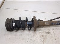  Амортизатор подвески Audi A3 (8V) 2012-2020 20485455 #1