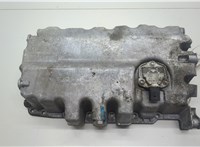  Поддон Volkswagen Tiguan 2007-2011 20485833 #1