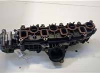  Коллектор впускной Volkswagen Tiguan 2007-2011 20485835 #1