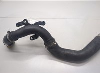  Патрубок интеркулера Dacia Sandero 2013-2020 20486446 #1