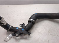  Патрубок интеркулера Dacia Sandero 2013-2020 20486446 #3