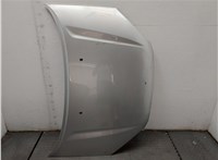  Капот Toyota RAV 4 2000-2005 20487029 #1