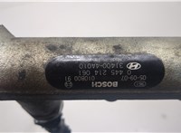 314004A010 Рампа (рейка) топливная KIA Sorento 2002-2011 20487414 #4