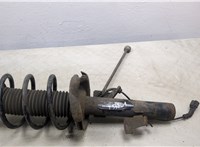 1595291, 1335386 Амортизатор подвески Ford Focus 2 2005-2008 20488666 #1
