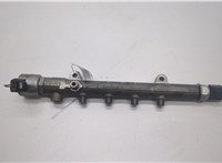  Рампа (рейка) топливная Mercedes E W212 2009-2016 20489153 #1