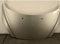  Капот Renault Scenic 2003-2009 20489168 #1