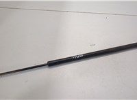 2065246, GV41S406A10AB, 2065247 Амортизатор крышки багажника Ford Kuga 2016-2019 20489302 #1