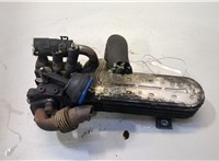 Клапан рециркуляции газов (EGR) Volkswagen Touran 2003-2006 20490003 #1