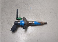 9802448680 Форсунка топливная Citroen DS3 2009-2016 20491016 #1