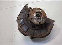  Ступица (кулак, цапфа) Volkswagen Jetta 5 2004-2010 20491121 #1