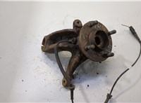  Ступица (кулак, цапфа) Ford Fusion 2002-2012 20491159 #1