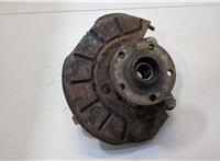 Ступица (кулак, цапфа) Volkswagen Passat 6 2005-2010 20491181 #1