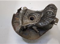  Ступица (кулак, цапфа) Volkswagen Passat 6 2005-2010 20491181 #2